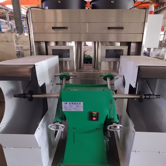 Rotoform Pastillator Equipment with Steel Belt Cooler